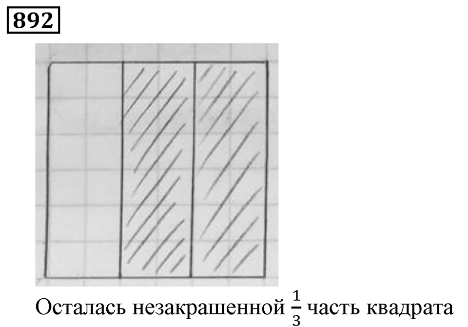 Дробные числа. §5.23 Доли. Обыкновенные дроби. Номер №892 — решение 1