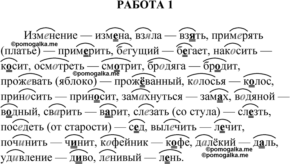Работа 1 — решение 1