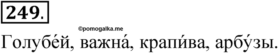 Упражнение 249 — решение 1