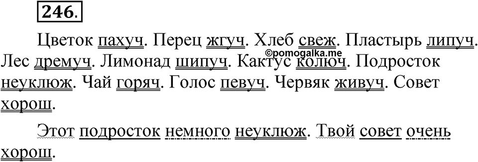 Упражнение 246 — решение 1