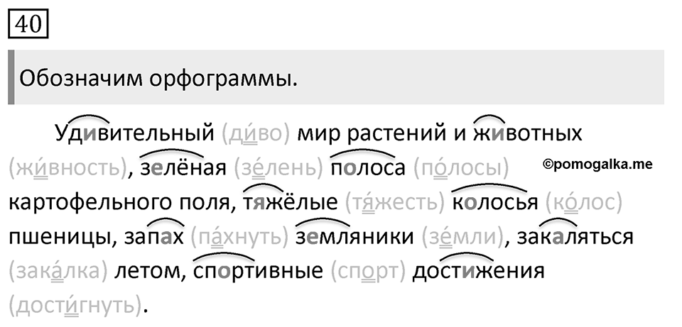 Упражнение 40, ГДЗ по русскому за 5 класс к учебнику Ладыженской, Баранова — решение 1