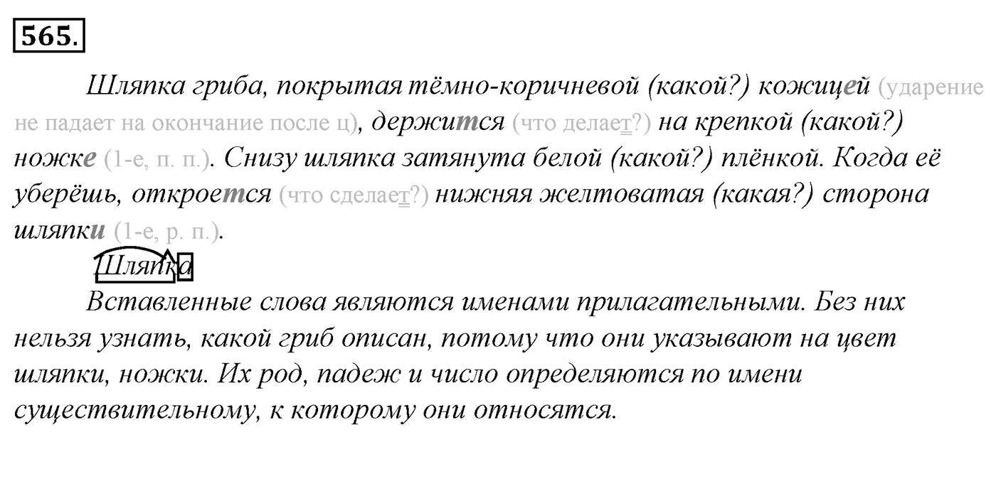 Упражнение 565, ГДЗ по русскому за 5 класс к учебнику Ладыженской, Баранова — решение 2