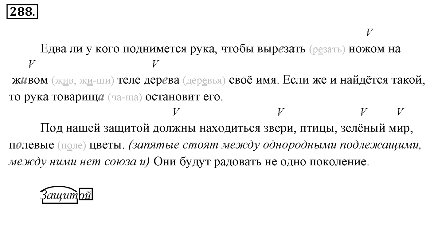 Упражнение 288, ГДЗ по русскому за 5 класс к учебнику Ладыженской, Баранова — решение 2