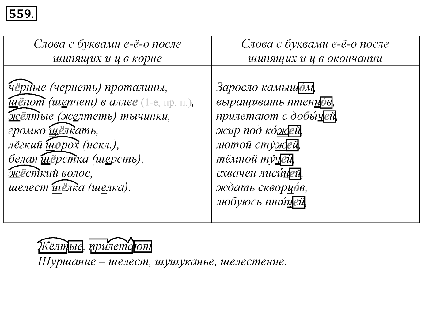 Упражнение 559, ГДЗ по русскому за 5 класс к учебнику Ладыженской, Баранова — решение 2