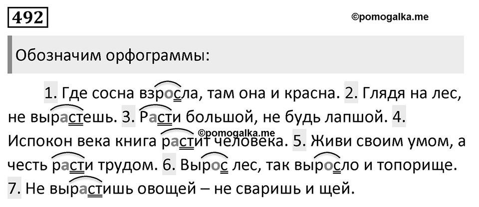 Упражнение 492, ГДЗ по русскому за 5 класс к учебнику Ладыженской, Баранова — решение 1