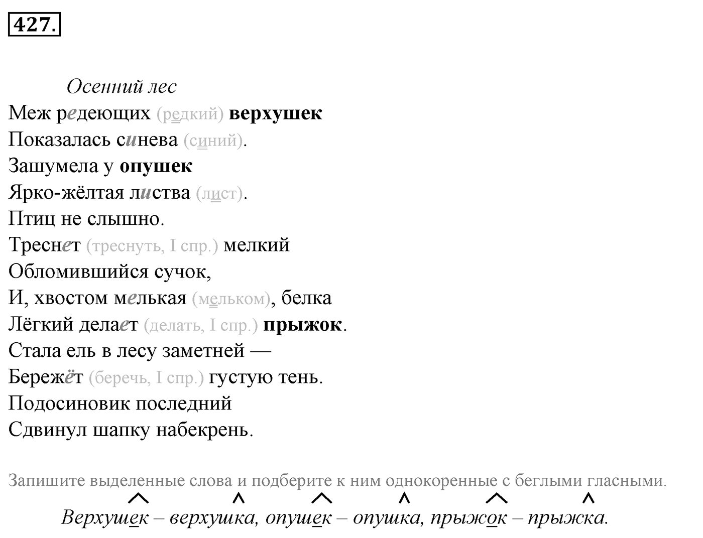Упражнение 427, ГДЗ по русскому за 5 класс к учебнику Ладыженской, Баранова — решение 2