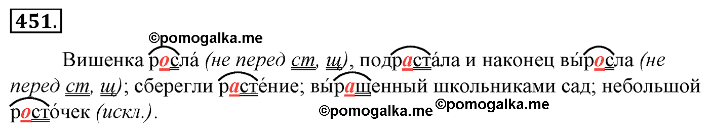 Упражнение 451, ГДЗ по русскому за 5 класс к учебнику Ладыженской, Баранова — решение 3