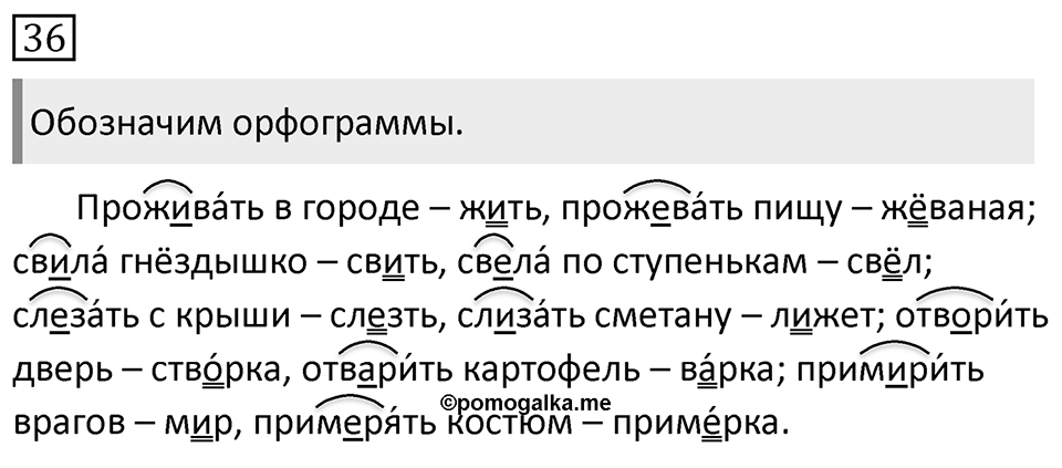 Упражнение 36, ГДЗ по русскому за 5 класс к учебнику Ладыженской, Баранова — решение 1