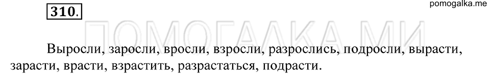 Упражнение 310 — решение 2