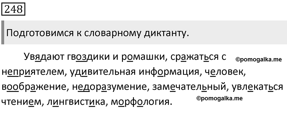 Упражнение 248 — решение 1