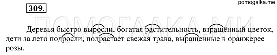 Упражнение 309 — решение 2