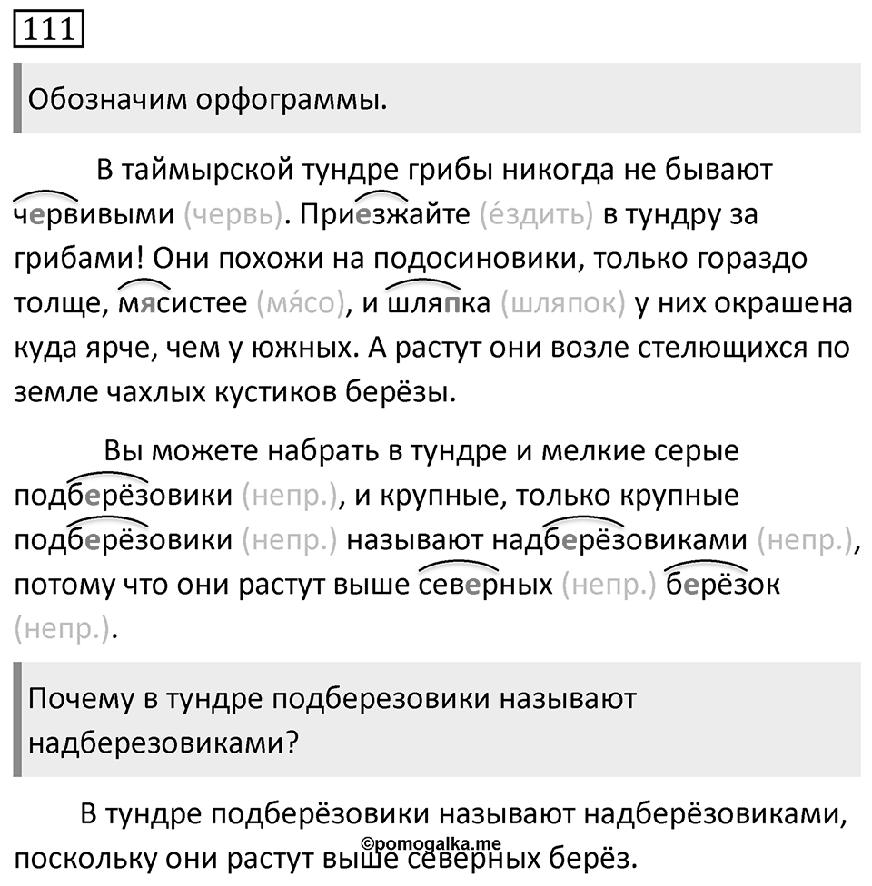 Упражнение 111 — решение 1
