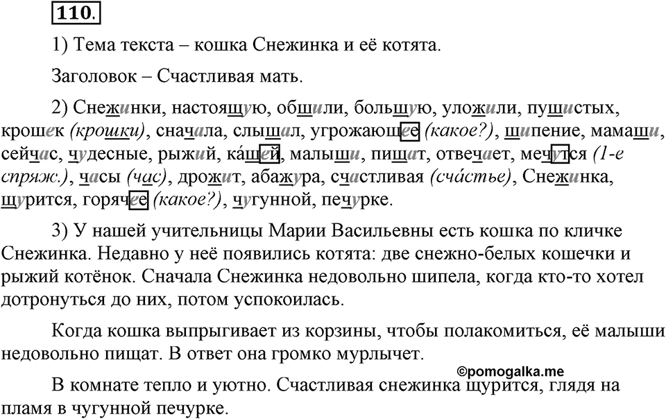 На каком языке мы говорим. §16. Нормы русского литературного языка. Глава 2. Упражнение №110 — решение 1