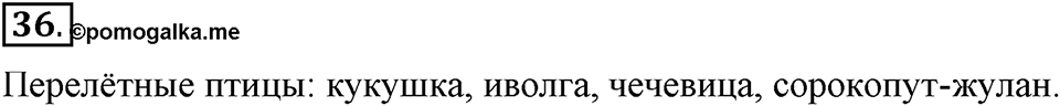 В чем заключается богатство языка. §7. Тематические группы слов. Глава 4. Упражнение №36 — решение 1