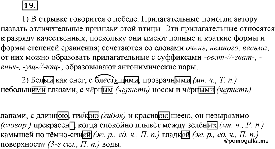 Что такое современный язык. §3. Разряды имен прилагательных по значению: качественные, относительные, притяжательные. Глава 7. Упражнение №19 — решение 1