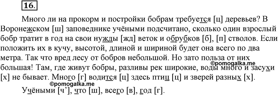 На каком языке мы говорим. §4. Звуковой состав слова и транскрипция. Глава 2. Упражнение №16 — решение 1