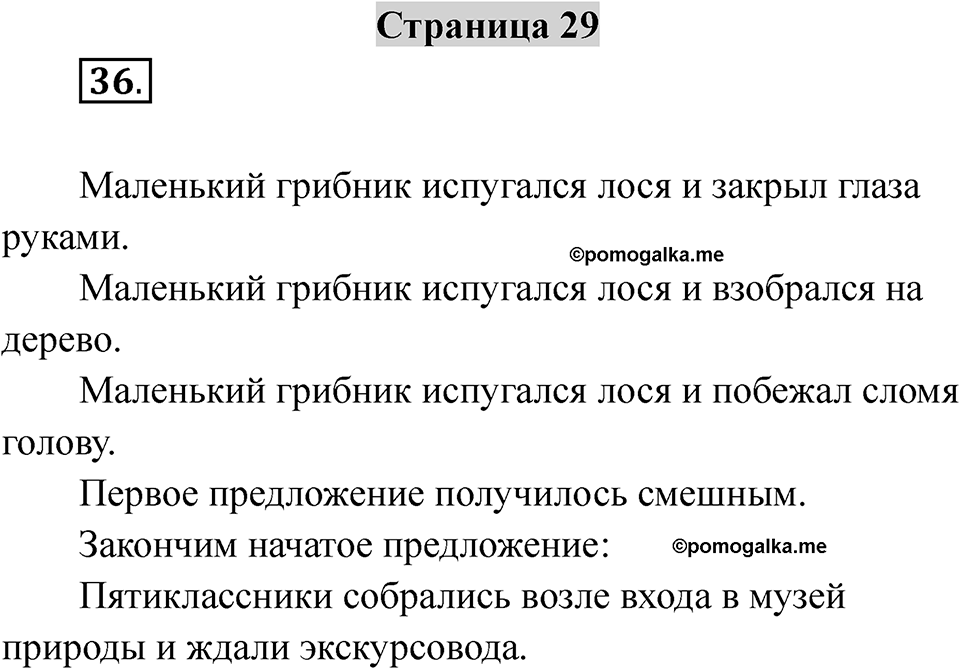 Страница 29 — решение 1