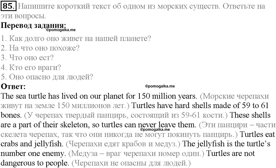 Section 4. Under the Sea. Unit 4 задание №85 — решение 1