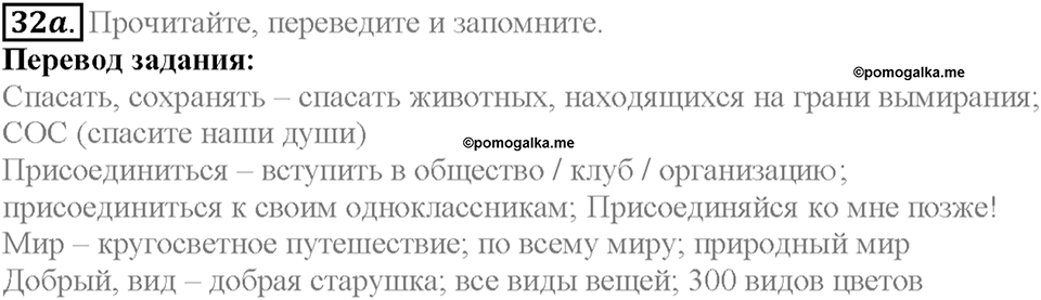 Section 2. Animals in the City. Unit 2 задание №32a — решение 1