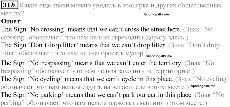 Section 2. Animals in the City. Unit 2 задание №31b — решение 1