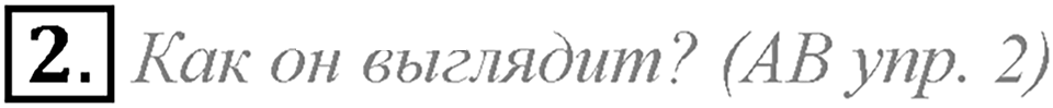 What do you look like?. Unit 1 Lesson 1 задание №2 — решение 1