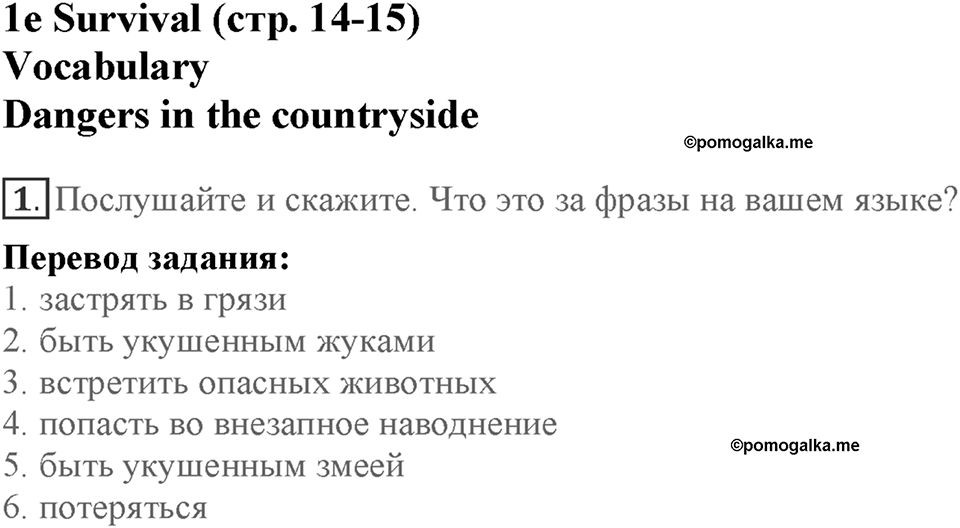Module 1. Home and away. Страница 14-15. 1e. Номер №1 — решение 1