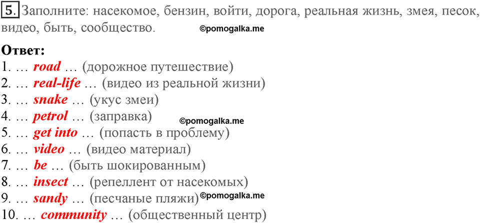 Module 1. Home and away. Страница 21. Language Review 1. Номер №5 — решение 1