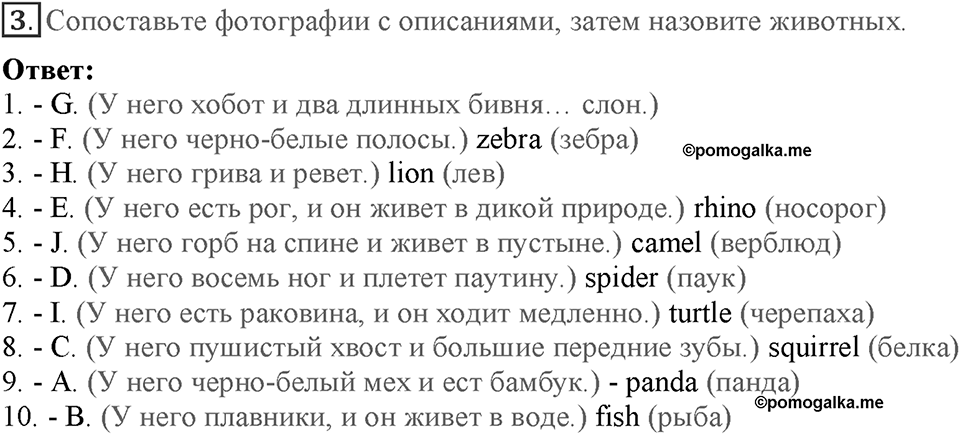 Module 7. Страница 121-124. VB2. Animals. Номер №3 — решение 1
