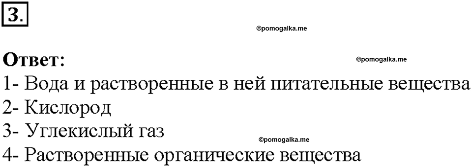 Глава 3. Жизнедеятельность организмов. Урок 11. Страницы 21-25. Номер №3 — решение 1