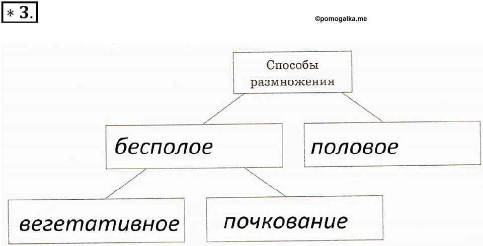 Глава 4. Размножение, рост и развитие организмов. Урок 16. Страницы 40-43. Номер №3 — решение 1