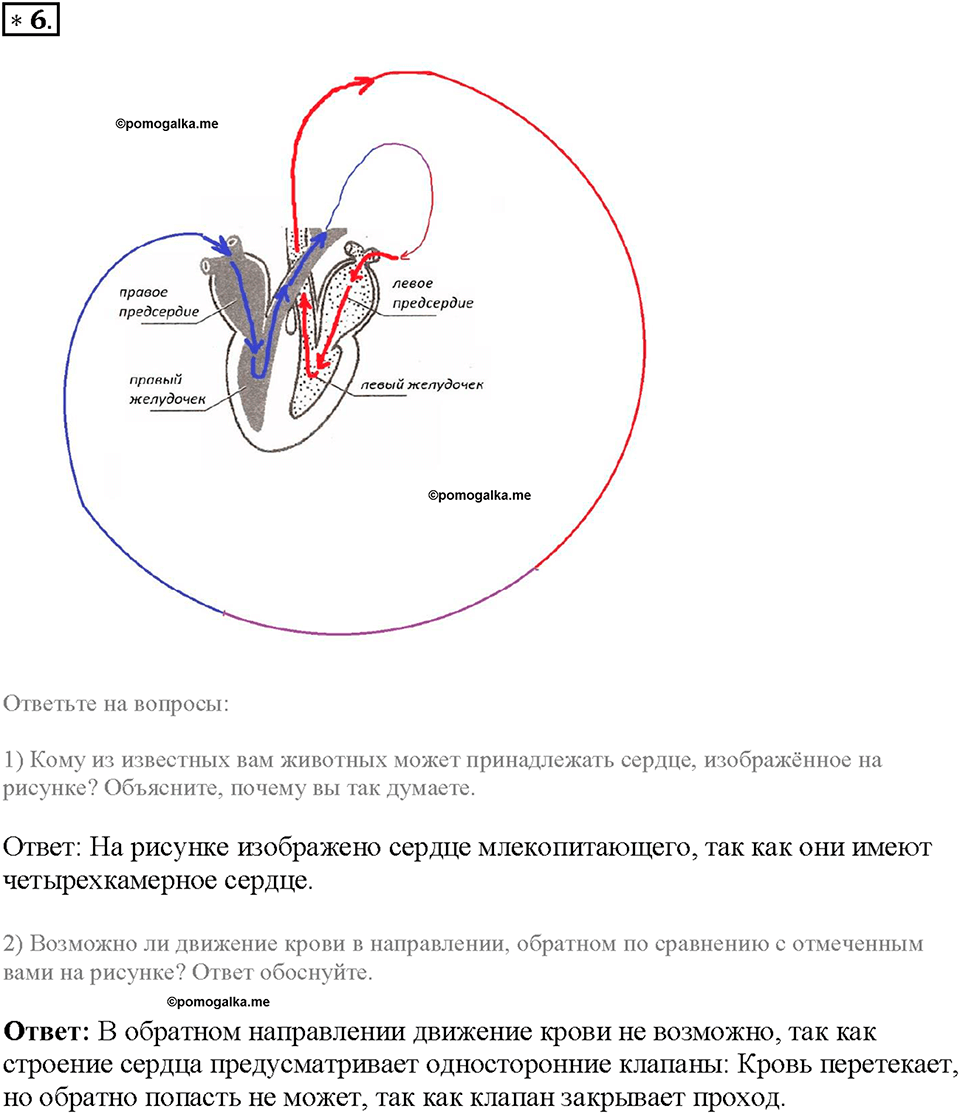 Глава 3. Жизнедеятельность организмов. Урок 12. Страницы 25-27. Номер №6 — решение 1