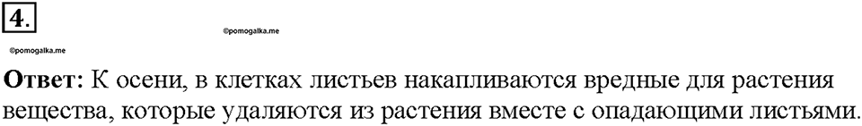 Глава 3. Жизнедеятельность организмов. Урок 13. Страницы 27-28. Номер №4 — решение 1