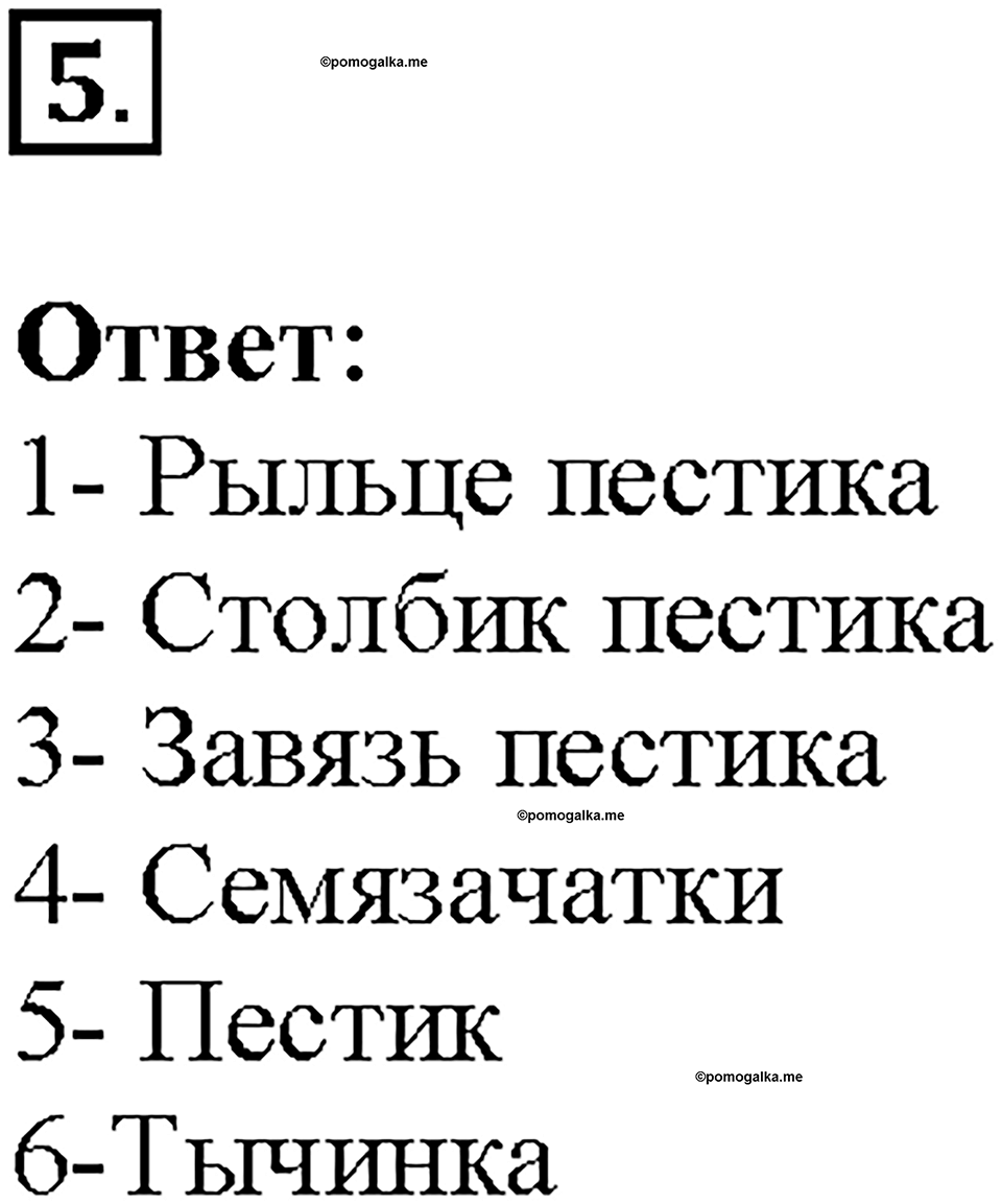 Глава 4. Размножение, рост и развитие организмов. Урок 17. Страницы 44-45. Номер №5 — решение 1