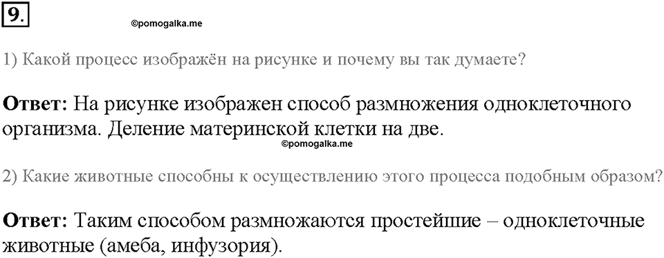 Глава 4. Размножение, рост и развитие организмов. Урок 16. Страницы 40-43. Номер №9 — решение 1