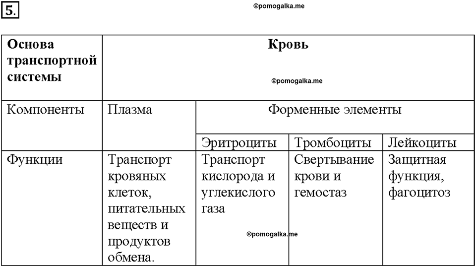 Глава 3. Жизнедеятельность организмов. Урок 12. Страницы 25-27. Номер №5 — решение 1