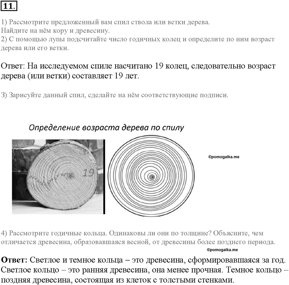 Глава 4. Размножение, рост и развитие организмов. Урок 18. Страницы 45-50. Номер №11 — решение 1