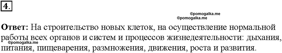 Глава 3. Жизнедеятельность организмов. Урок 1. Страницы 4-5. Номер №4 — решение 1