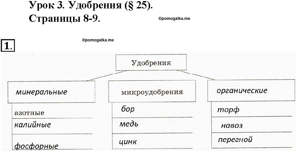 Глава 3. Жизнедеятельность организмов. Урок 3. Страницы 8-9. Номер №1 — решение 1