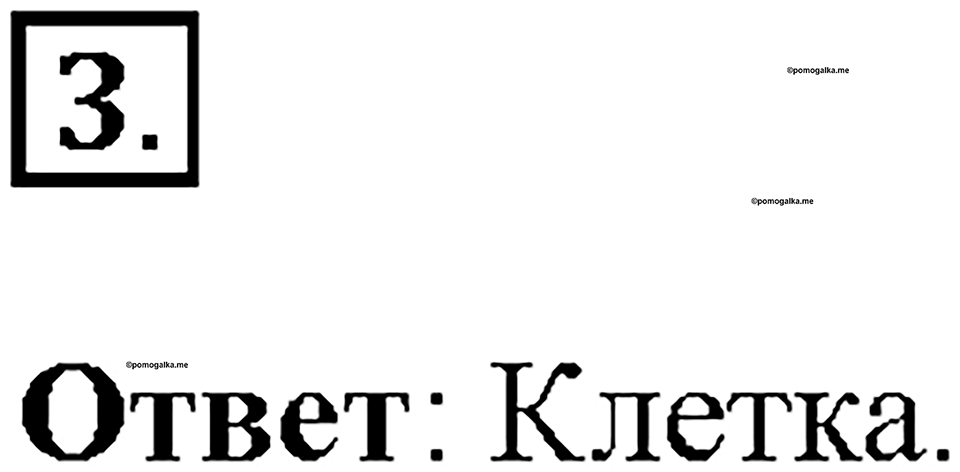 Глава 3. Жизнедеятельность организмов. Урок 1. Страницы 4-5. Номер №3 — решение 1