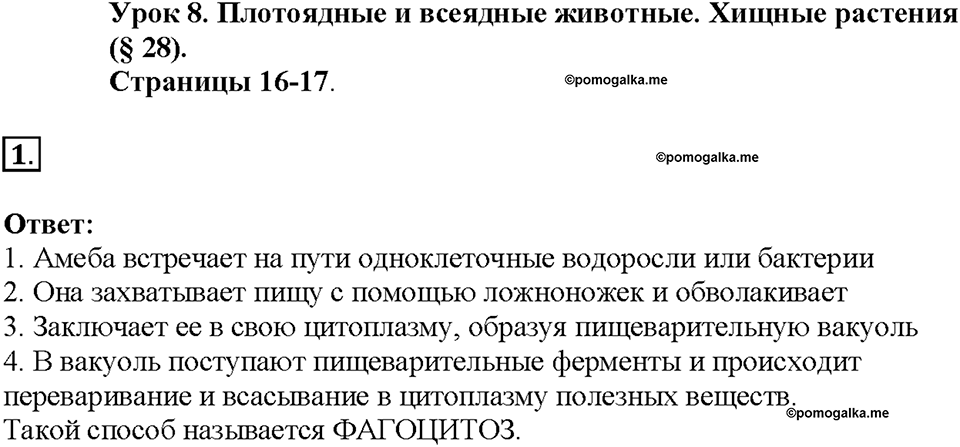 Глава 3. Жизнедеятельность организмов. Урок 8. Страницы 16-17. Номер №1 — решение 1