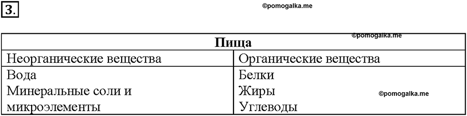 Глава 3. Жизнедеятельность организмов. Урок 7. Страница 15. Номер №3 — решение 1