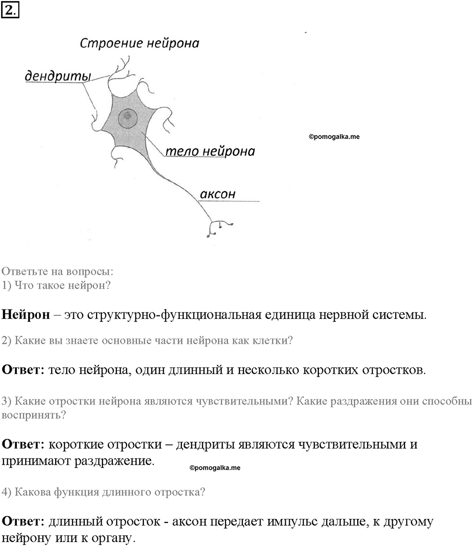 Глава 5. Регуляция жизнедеятельности организмов. Урок 23. Страницы 62-64. Номер №2 — решение 1