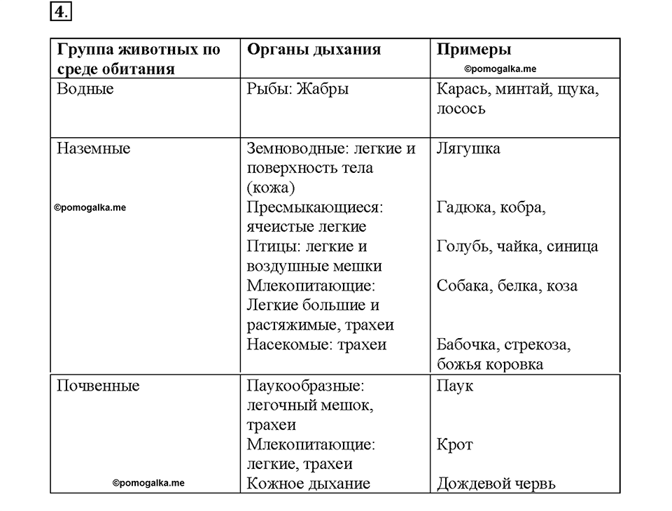 Глава 3. Жизнедеятельность организмов. Урок 9. Страницы 17-18. Номер №4 — решение 1