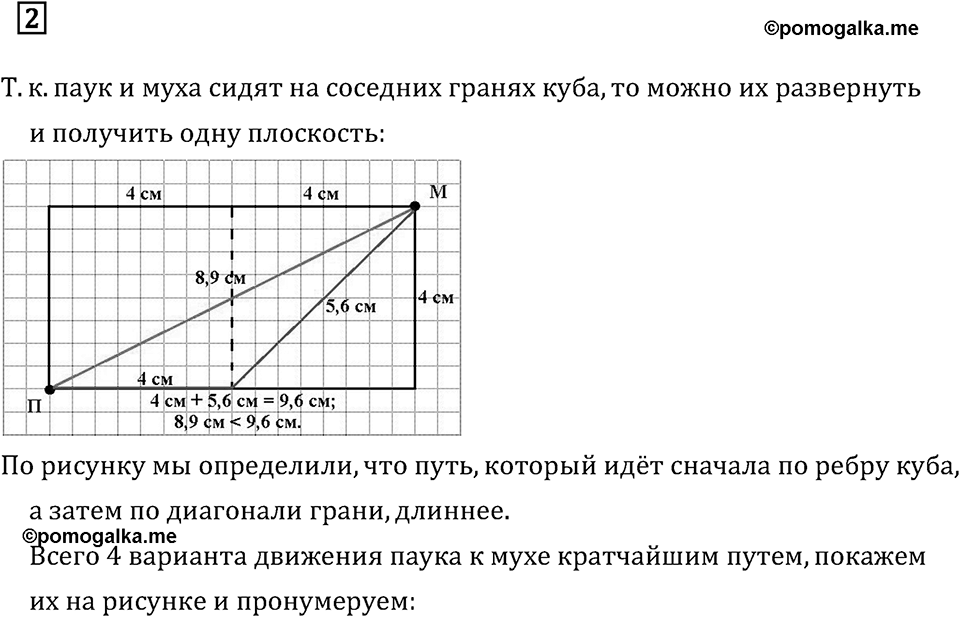 Дополнительные вопросы. Задача о пауке и мухе. Страницы 91-92 Номер 3 — решение 1