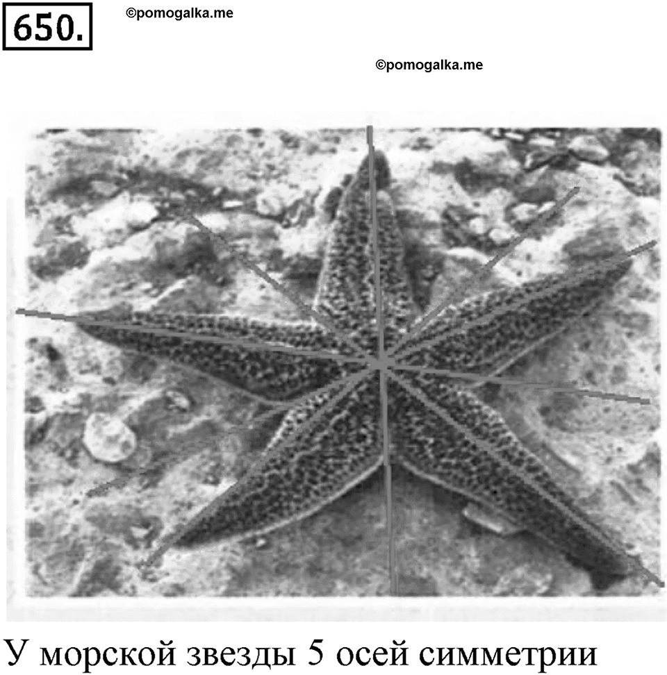Выражения, формулы, уравнения. 8.2. Буквенные выражения и числовые подстановки. Номер 650 — решение 1
