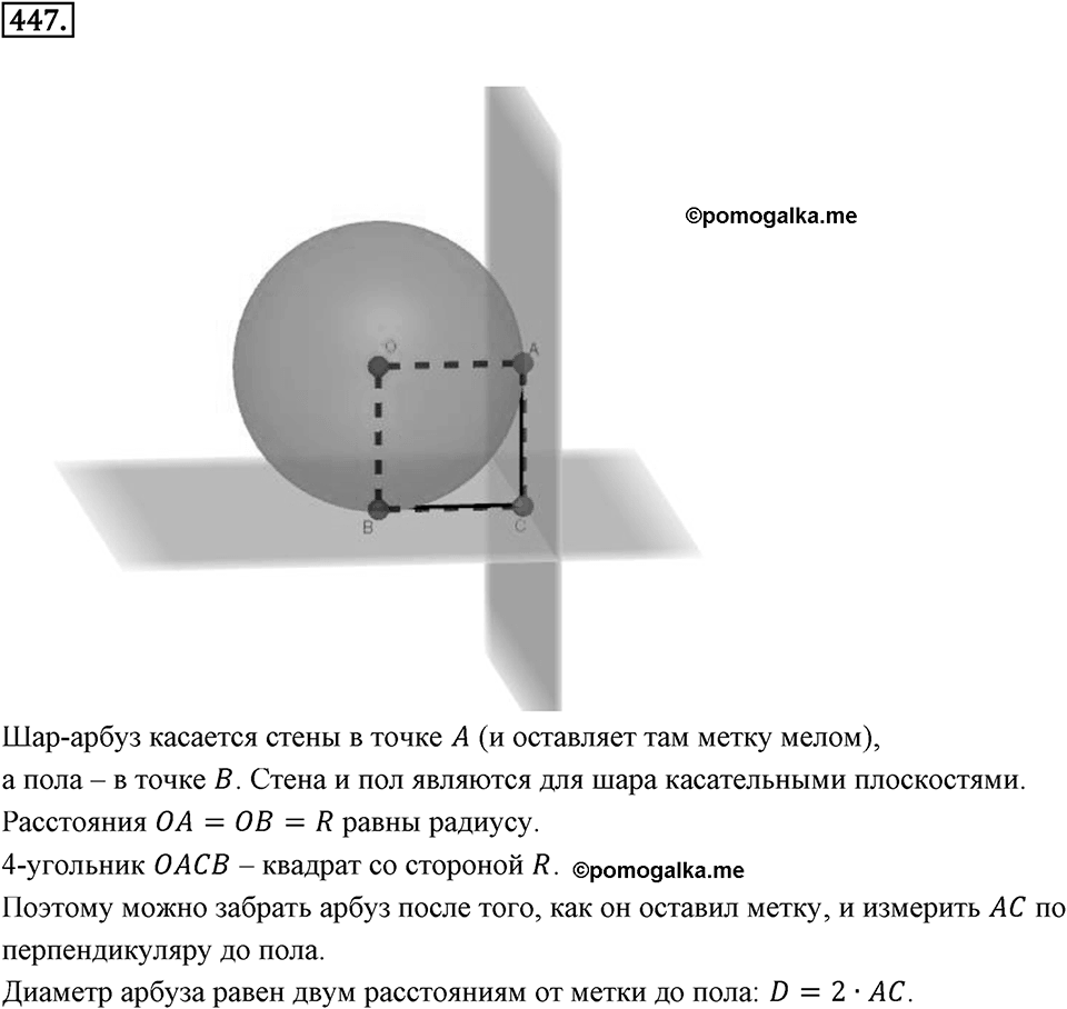 Окружность. 5.4. Круглые тела. Номер 447 — решение 1