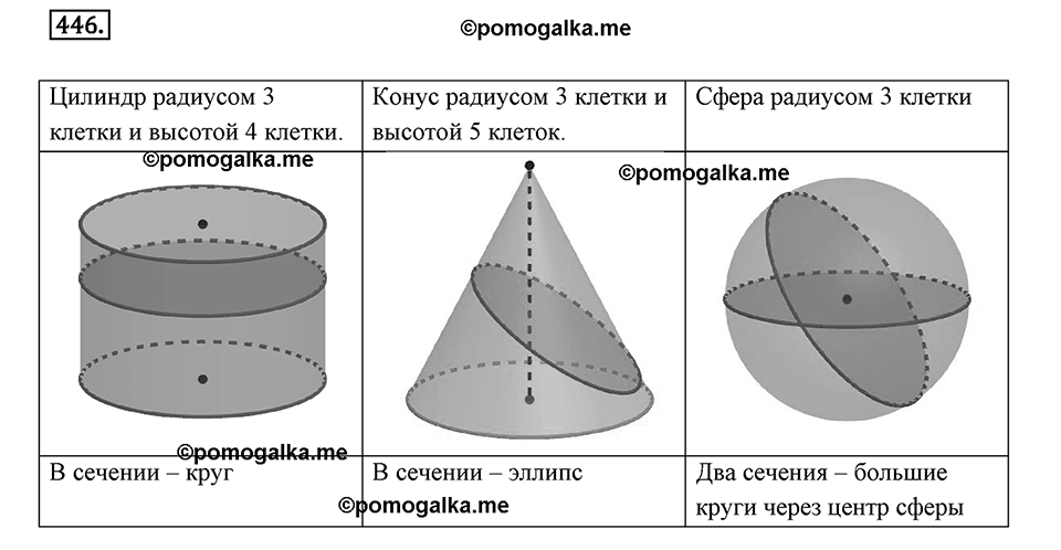 Окружность. 5.4. Круглые тела. Номер 446 — решение 1