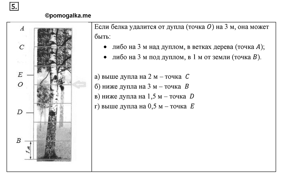 Часть 2. Рациональные числа. §5. Положительные и отрицательные числа. Часть 2, номер №5 — решение 1