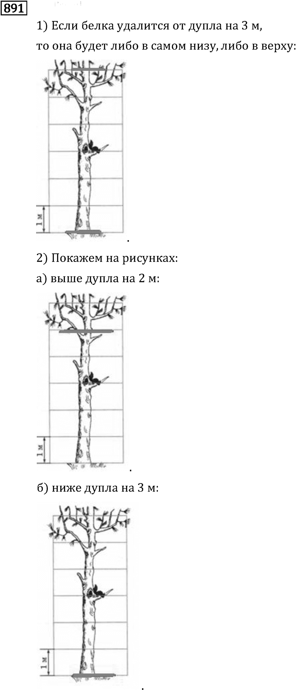 Рациональные числа. 5.26 Координаты на прямой. Номер №891 — решение 1