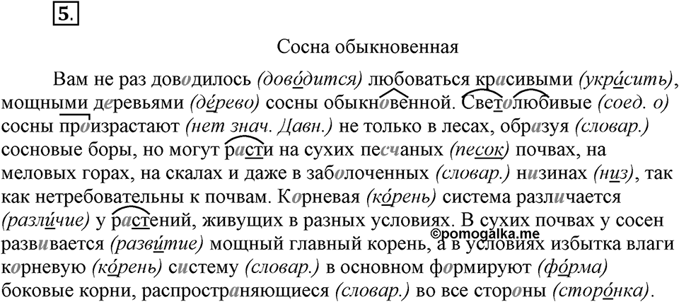 Упражнение 5 — решение 1